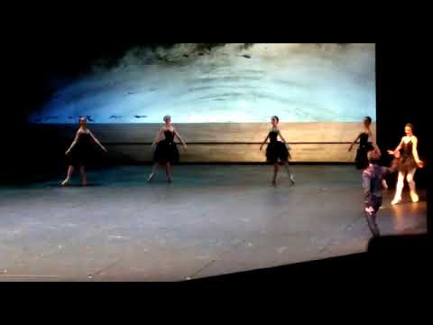 Black Swan Coda, Jinhao Zhang & Prisca Zeisel