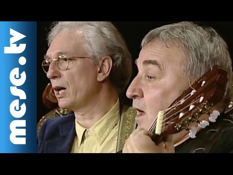 Kaláka - Radnóti Miklós: Alszik a szív (koncert részlet, gyerekdalok) | MESE TV