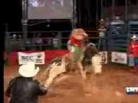 Jao vs samurai 91 pontos