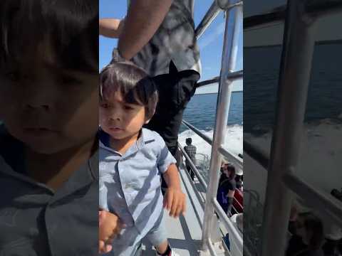 Thumbnail for Baby Cruise Dayout #pleasesubscribe #canadalife #cutebaby #cruise #family #weekend #minivlog #baby