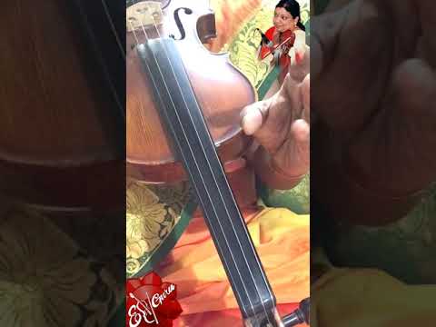 3.Bhairavi..ata thala varnam...Lesson