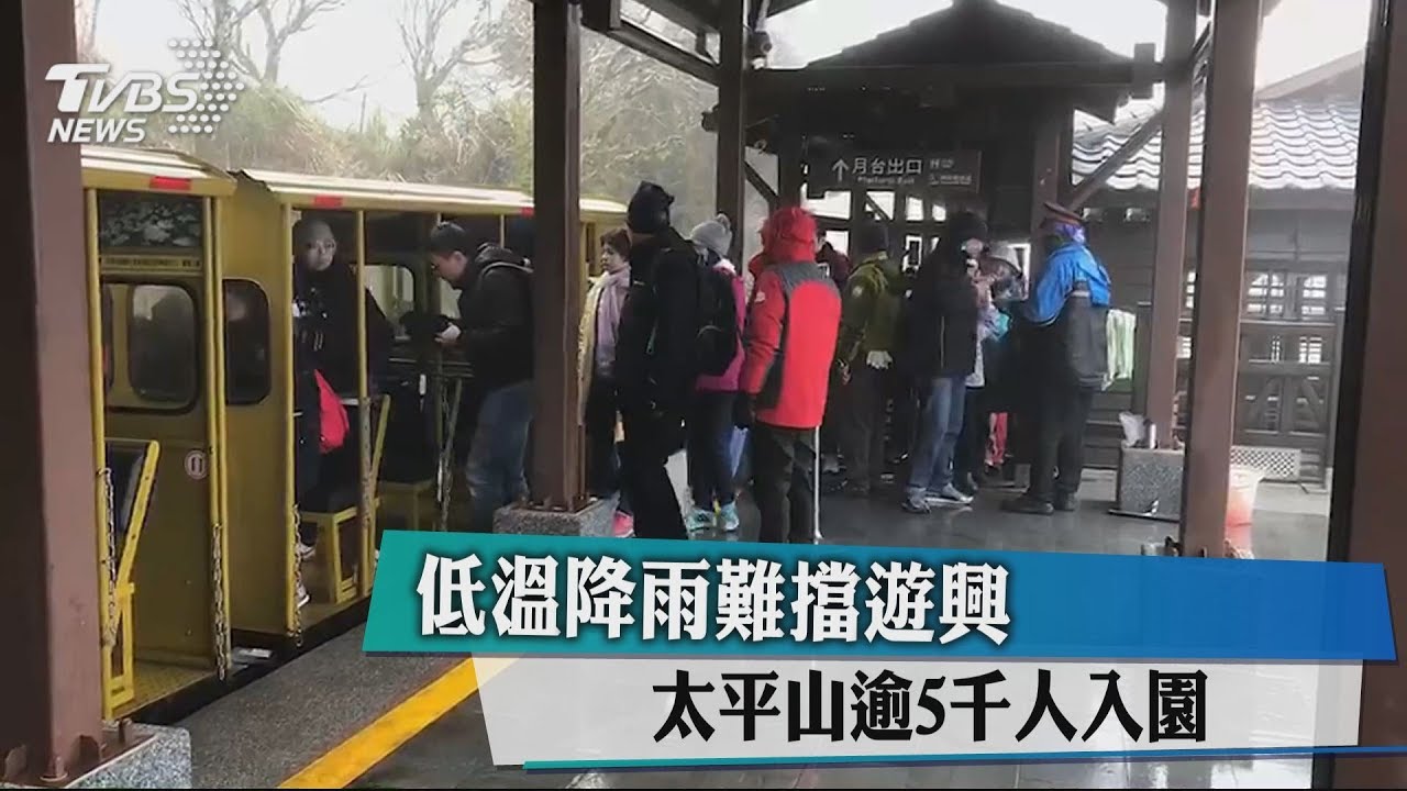 低溫降雨難擋遊興 太平山逾5千人入園