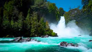 Download lagu Huilo Waterfall and River 4k in Chilean. Relaxing Nature Sounds, Waterfall, White Noise for Sleep. mp3 Download lagu Huilo Waterfall and River 4k in Chilean. Relaxing Nature Sounds, Waterfall, White Noise for Sleep. mp3