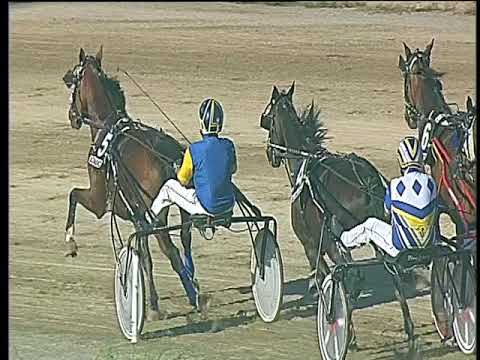 Trotto 17/09/2017 - 6ª corsa