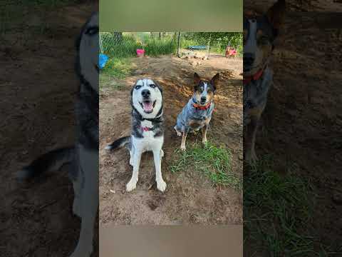 Socialization days with Ole, Jozy and masha