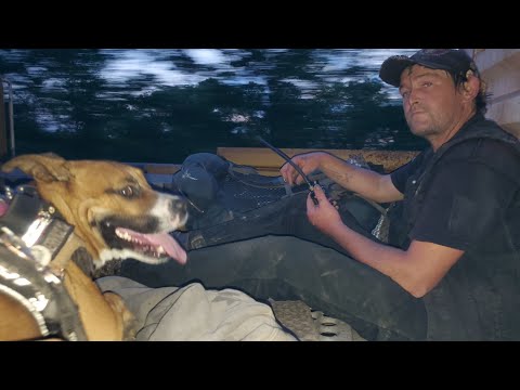 Train Hopping On A 80 MPH Intermodal!!!