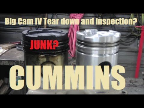 855 Cummins Autopsy
