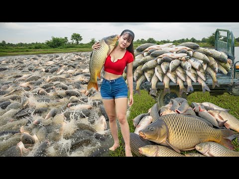 REWIND TIMELAPSE --1200 Days Harvest A Lot Of Big Fish Filled 3-Wheeled Truck Go To Market Sell