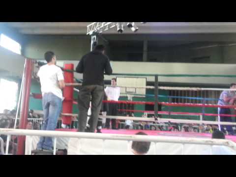 Pelea de joel el pitbull balbuena