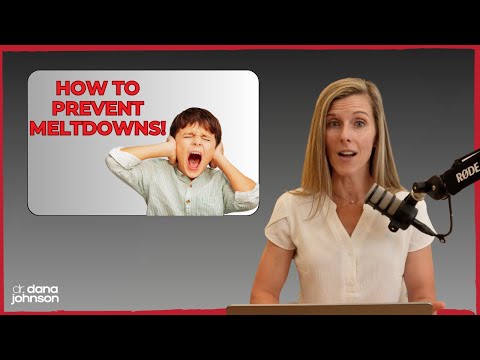 Autism Meltdowns Explained
