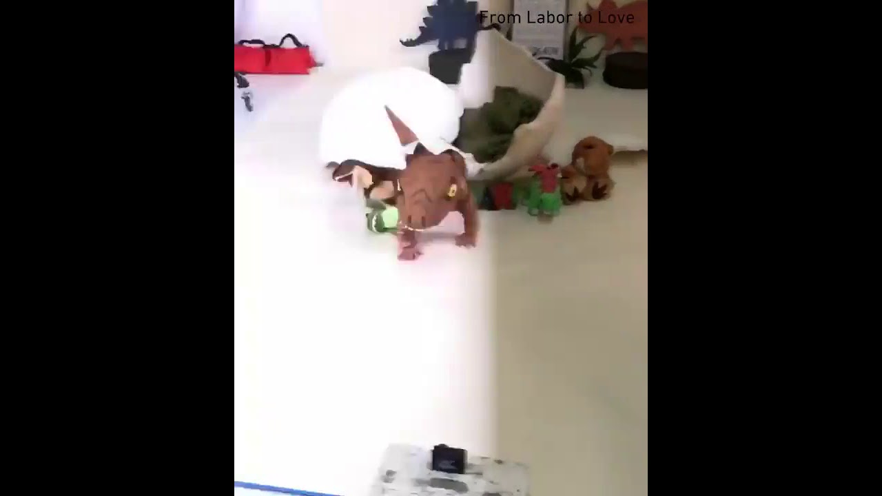 Damn nature you scary.⠀