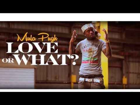 YNW$ Mula Pugh - Young Niggas With Bodies