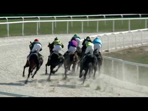 2017.04.02. 3. futam - MOGYORÓDI HENDIKEP (II.o.) (szintetikus pálya)