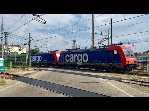 L’Autostrada Viaggiante di RAlpin attraverso le Alpi Svizzere da Novara a Friburgo