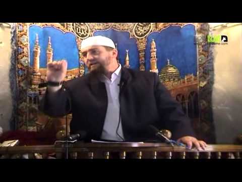 Realiteti i shijave 2 - Dhulkarnejn Ramadani