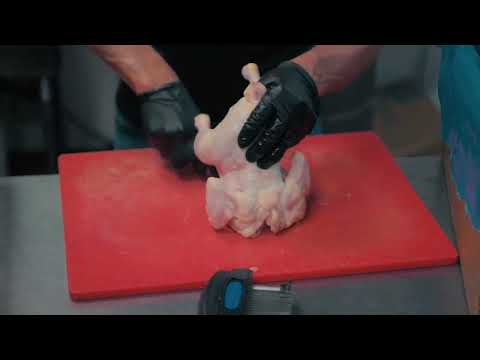 RAIZES DE PORTUGAL - 2023