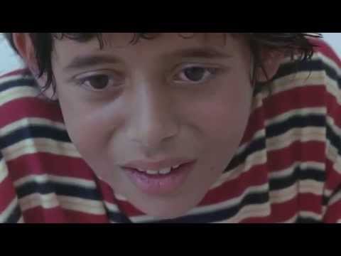 The world is a lie -The song of sparrows'