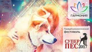 Открытие дрессировочной площадки для собак в ЖР «Гармония». Михайловск. Ставропольский край