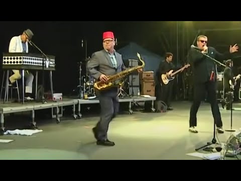 MADNESS Budapest Hungary 2014 [Full Concert][Half band]