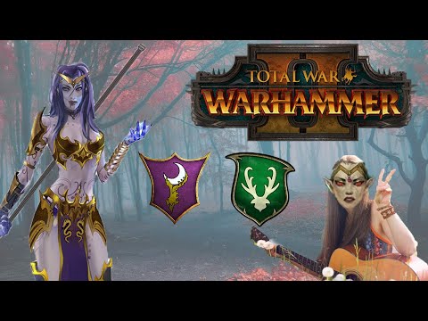 Hot elves fight back against hippies | Dark Elves vs Wood Elves | Total War: Warhammer 2