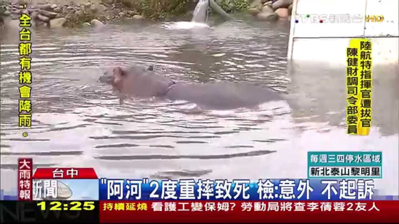 「阿河」2度重摔致死 檢:意外!不起訴