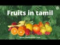 Fruit Names In English And Tamil Fruits Vocabulary English To Tamil Learn Entry