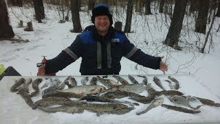 Ловля налима на урале осенью