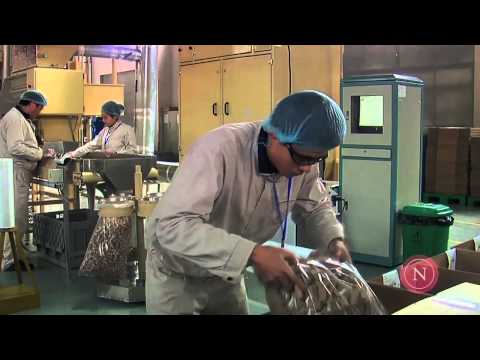 Nomacorc Global Operational Excellence