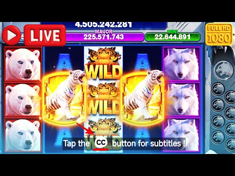 [Live] Siberian Fury Big Win Cash Frenzy Casino & Cash Frenzy Free Coins - YouTube