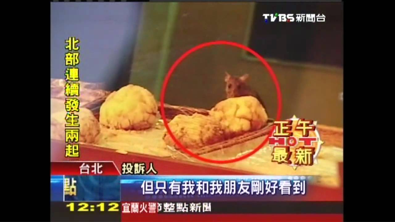 噁! 85度C竟有「鼠」啃菠蘿麵包