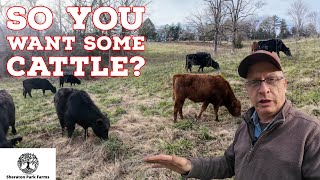 Yes! YOU Can Raise Cattle & There Is Help Available