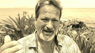 What's your next chapter?