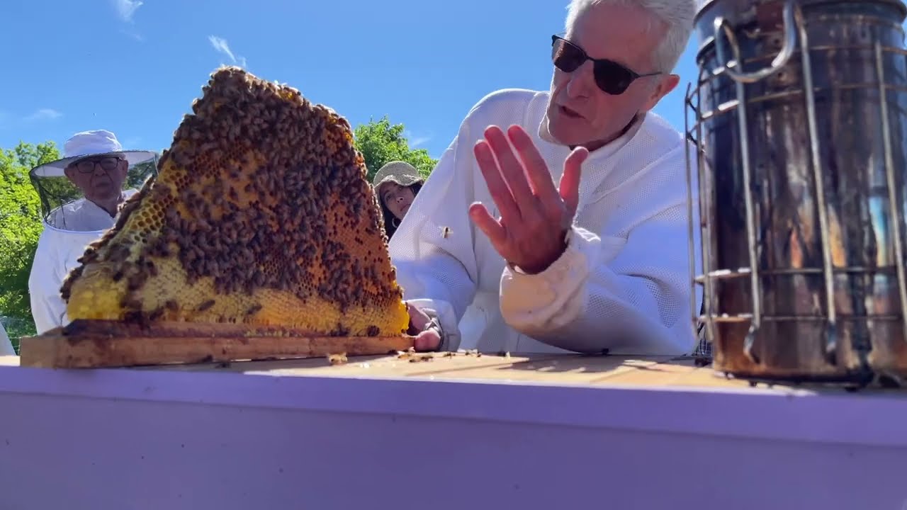 Nucleus Hives, Supering and Summer Management Workshop 2022