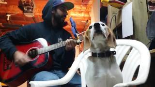 The Menzingers Sculptors and Vandals (acoustic)