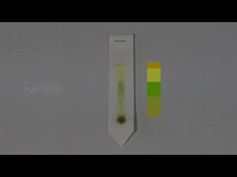 Paper Chromatography - MeitY OLabs