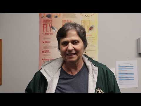 Cowleys Does a Great Job & They're Honest - says Irene