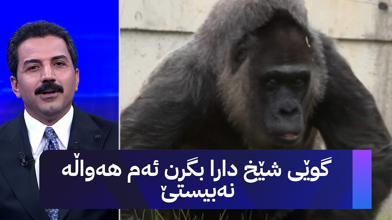 ڤیدیۆ | گوێی شێخ دارا بگرن ئەم هەواڵە نەبیستێ