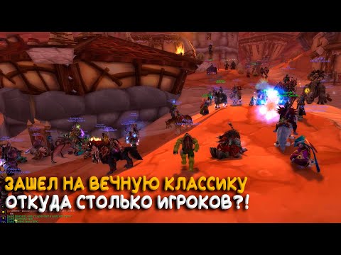 Где играет русская Орда на Firemaw WoW Classic?