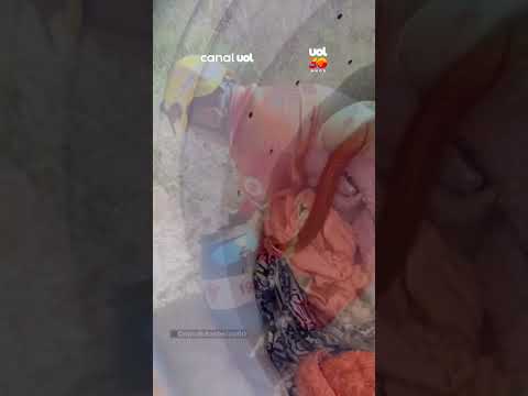 Cobra é capturada dentro de máquina de lavar em Goiás