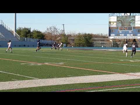 Nicole Caldaron saves a breakaway by Julia Eichenbaum