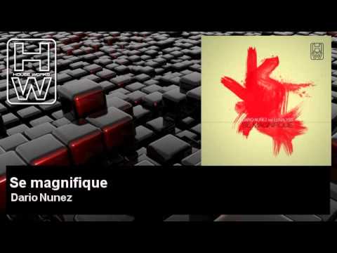 Dario Nunez - Se magnifique - feat. Lunalyss - HouseWorks