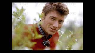 Johnny Hallyday - Pour moi tu es la seule (+ Paroles) (yanjerdu26)