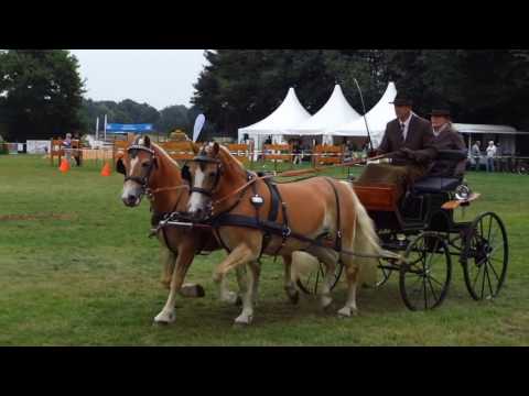 Fahrturnier Lette 17.9.2016