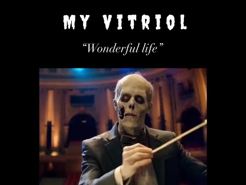 My Vitriol - Wonderful Life