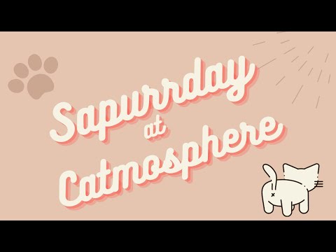 Catmosphere Cat Cafe