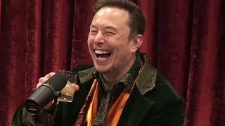 The Moment When Elon Musk Was Strangely Laughing At The World With Joe Rogan