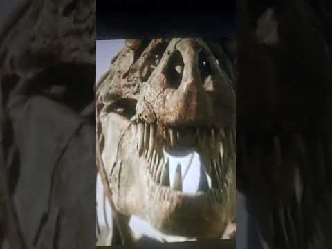 Dreadnought Get Skeleton Tyrannosaurus #Dino#Dex
