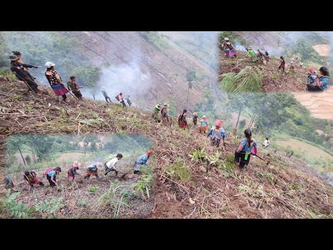 Txooj hlau lawv txaws nplej tag lawm mas zoo siab heev 30/4/2021