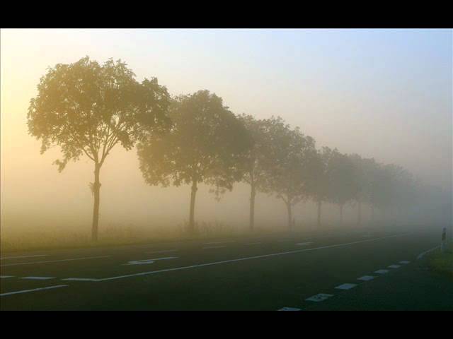 Jandro И через года, аккорды, текст, видео