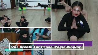 Delhi Public School Video